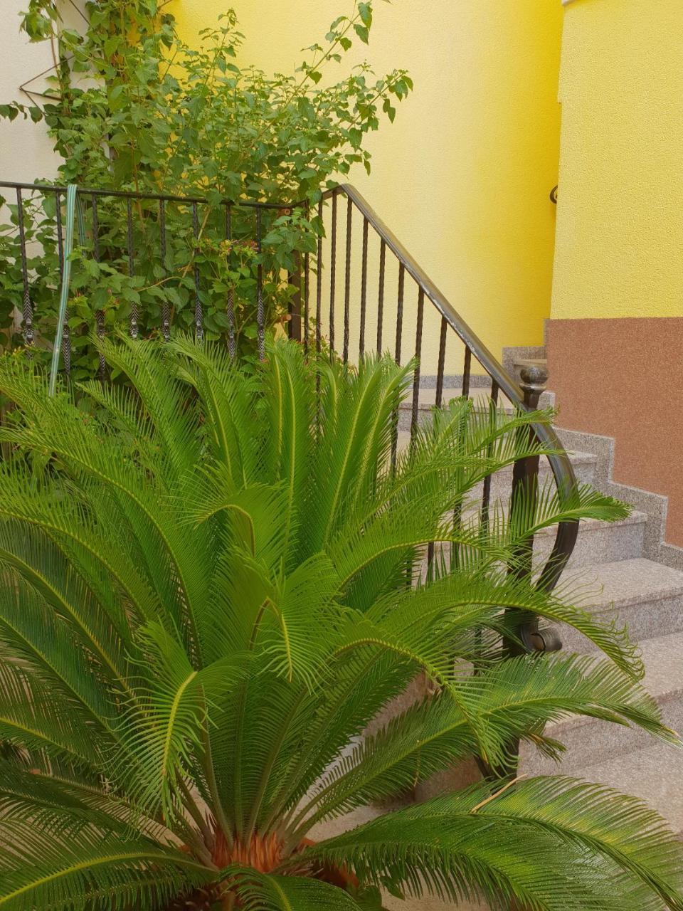 Apartments Cytrus Neum Luaran gambar